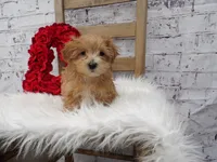 processed/9d397ad6-9b0f-4778-a7fd-4a40ee661003/listing/995ea85f-77b3-4459-902c-e6fcdac4676a/081d3f91-7830-4828-83c5-334e22e84d50