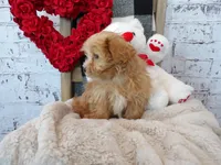 processed/9d397ad6-9b0f-4778-a7fd-4a40ee661003/listing/995ea85f-77b3-4459-902c-e6fcdac4676a/5a69d7fd-c151-4c6e-860b-c9d5f5ff73d9