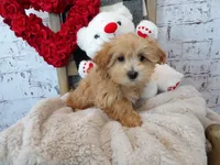 processed/9d397ad6-9b0f-4778-a7fd-4a40ee661003/listing/995ea85f-77b3-4459-902c-e6fcdac4676a/6292b3f9-d588-44a1-aa6e-999c50f2f2c2