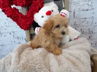 processed/9d397ad6-9b0f-4778-a7fd-4a40ee661003/listing/995ea85f-77b3-4459-902c-e6fcdac4676a/91f22dcc-c1bd-4778-87f6-7f0cfe056baa