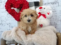 processed/9d397ad6-9b0f-4778-a7fd-4a40ee661003/listing/995ea85f-77b3-4459-902c-e6fcdac4676a/f59e3c3b-3d8e-4f89-b957-e6156fa9f009