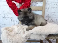 processed/9d397ad6-9b0f-4778-a7fd-4a40ee661003/listing/9e76d1d6-f85e-4408-9ef4-3b718843c0bc/16f79fb1-5b04-41c7-9584-14cf990d1d54