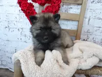 processed/9d397ad6-9b0f-4778-a7fd-4a40ee661003/listing/9e76d1d6-f85e-4408-9ef4-3b718843c0bc/5aa6cdc0-f7fa-4d21-b5f1-2378fc5bd2fc