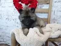 processed/9d397ad6-9b0f-4778-a7fd-4a40ee661003/listing/9e76d1d6-f85e-4408-9ef4-3b718843c0bc/97210913-02df-4546-90f0-5d10dead45b6