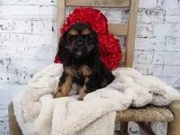 processed/9d397ad6-9b0f-4778-a7fd-4a40ee661003/listing/aab793e6-e9aa-421c-99e6-fd6d902afbcc/584c28c4-b033-46e2-a087-c20b96f8f951