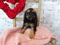 processed/9d397ad6-9b0f-4778-a7fd-4a40ee661003/listing/aab793e6-e9aa-421c-99e6-fd6d902afbcc/75a6af72-b71b-4b15-ae6b-56b150dc6e89