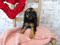 processed/9d397ad6-9b0f-4778-a7fd-4a40ee661003/listing/aab793e6-e9aa-421c-99e6-fd6d902afbcc/bf1b6cab-a6a2-4ebc-876f-2b4454ae7709