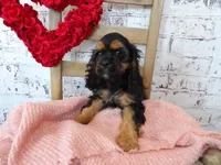 processed/9d397ad6-9b0f-4778-a7fd-4a40ee661003/listing/aab793e6-e9aa-421c-99e6-fd6d902afbcc/df919a55-ba14-4694-a536-5ccf36dc3d3b