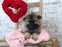 processed/9d397ad6-9b0f-4778-a7fd-4a40ee661003/listing/b1a7c041-bb18-4ec1-9839-e61c37eecff2/af9bd3cb-a677-4545-9f60-60befd9e2a47