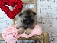 processed/9d397ad6-9b0f-4778-a7fd-4a40ee661003/listing/b1a7c041-bb18-4ec1-9839-e61c37eecff2/d6547f60-eb0c-4077-b311-4e5aa2911154