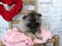 processed/9d397ad6-9b0f-4778-a7fd-4a40ee661003/listing/b1a7c041-bb18-4ec1-9839-e61c37eecff2/ddd1a99a-30a7-4781-9de0-c2e3f76a4ce3