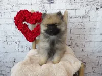 processed/9d397ad6-9b0f-4778-a7fd-4a40ee661003/listing/fac595c3-e8fc-402f-a50b-aa2fd9298d91/71c4711c-4cc2-45ee-bdc1-cdfc01115123