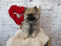 processed/9d397ad6-9b0f-4778-a7fd-4a40ee661003/listing/fac595c3-e8fc-402f-a50b-aa2fd9298d91/b6f4b573-dd85-44a2-8694-a821f645edd5