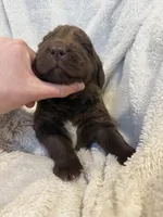 processed/9d4404c4-65ff-4402-969f-4ba3c370175c/listing/2cf9579b-1243-4567-a012-da6e7b5979ed/611055f0-17d3-40f2-ac63-be84933a188d