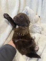 processed/9d4404c4-65ff-4402-969f-4ba3c370175c/listing/2cf9579b-1243-4567-a012-da6e7b5979ed/9f44943b-8c40-41c7-90f7-692618059be1