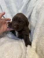 processed/9d4404c4-65ff-4402-969f-4ba3c370175c/listing/2cf9579b-1243-4567-a012-da6e7b5979ed/a64298ea-86e7-4887-9ede-f7c6ac85571a