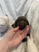 processed/9d4404c4-65ff-4402-969f-4ba3c370175c/listing/2cf9579b-1243-4567-a012-da6e7b5979ed/cab0529e-95aa-46c4-884d-01155f11d6f3