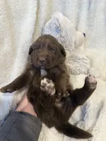 processed/9d4404c4-65ff-4402-969f-4ba3c370175c/listing/2cf9579b-1243-4567-a012-da6e7b5979ed/d89ad5d7-967a-45f6-9c0e-e4a422c65689