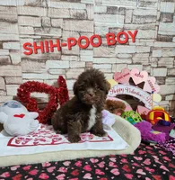 processed/9d5bb8c9-2e3c-496f-ba13-99b409d0ad1a/listing/0228644d-0d93-4611-9fbe-d25f9db212da/65f13d21-cb9a-4ad0-8f4d-07ff64fd84a0