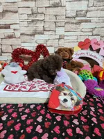 processed/9d5bb8c9-2e3c-496f-ba13-99b409d0ad1a/listing/0228644d-0d93-4611-9fbe-d25f9db212da/747776b9-cc73-4d93-9e43-5ff66349815d