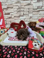 processed/9d5bb8c9-2e3c-496f-ba13-99b409d0ad1a/listing/0228644d-0d93-4611-9fbe-d25f9db212da/dbf4ed09-c659-411b-ae67-860c0fefd6d7