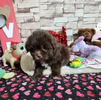 processed/9d5bb8c9-2e3c-496f-ba13-99b409d0ad1a/listing/0228644d-0d93-4611-9fbe-d25f9db212da/f38bdff4-95b7-49d5-b53c-098afa581b1b