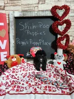 processed/9d5bb8c9-2e3c-496f-ba13-99b409d0ad1a/listing/8cc62cca-8d27-46b9-8606-bec2a69f9636/2c1be5a9-d602-414c-84e4-f4afd4c067a5