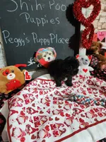 processed/9d5bb8c9-2e3c-496f-ba13-99b409d0ad1a/listing/8cc62cca-8d27-46b9-8606-bec2a69f9636/cc413d3e-2781-45df-96f5-85d77ffb8672