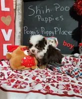 processed/9d5bb8c9-2e3c-496f-ba13-99b409d0ad1a/listing/bc3f23cb-9307-403b-beaa-b2b04ba5d2c8/6ae1b440-f52a-42f4-8ef6-91f348bd9568