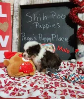 processed/9d5bb8c9-2e3c-496f-ba13-99b409d0ad1a/listing/bc3f23cb-9307-403b-beaa-b2b04ba5d2c8/e779bce9-ae08-499a-8a13-786494604017