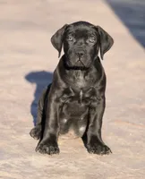 processed/9d679252-8acd-4455-b627-45750ed40a19/listing/214d9795-e42e-4876-a456-273b96279c05/2dfc3c1e-515e-44bb-b44d-65c9dc172504