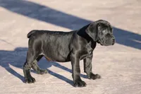 processed/9d679252-8acd-4455-b627-45750ed40a19/listing/214d9795-e42e-4876-a456-273b96279c05/be041cf0-7bba-46d8-b0ca-e5a596bd3277