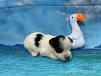 processed/9d698ea5-f7b1-460b-946e-659822f40217/listing/2ed3f117-02d5-419e-91e8-2b8a2d5966a3/224b6442-6e35-4dad-9139-51c504d2e506