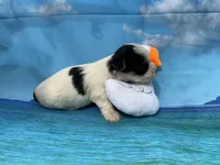 processed/9d698ea5-f7b1-460b-946e-659822f40217/listing/2ed3f117-02d5-419e-91e8-2b8a2d5966a3/4dacd05a-54d3-44ef-b4eb-894636e0d584