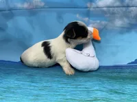 processed/9d698ea5-f7b1-460b-946e-659822f40217/listing/2ed3f117-02d5-419e-91e8-2b8a2d5966a3/52134f0b-813c-4857-9ea0-fc59e034061f