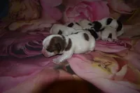 processed/9d698ea5-f7b1-460b-946e-659822f40217/listing/64d5208c-227e-4edb-8c78-4c8cf747a9d7/0d88c6de-338a-42f9-a656-6d1796ade0ff