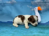 processed/9d698ea5-f7b1-460b-946e-659822f40217/listing/8fbf470c-620f-46ac-b9f2-471cd1d736d9/4a3a6317-9ab4-4c81-a2b0-c22b6fb80263