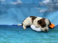 processed/9d698ea5-f7b1-460b-946e-659822f40217/listing/8fbf470c-620f-46ac-b9f2-471cd1d736d9/99308a11-523a-4404-af18-42bb37d0df9a