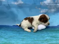 processed/9d698ea5-f7b1-460b-946e-659822f40217/listing/8fbf470c-620f-46ac-b9f2-471cd1d736d9/d0ebee67-2516-49f1-9909-702dc6c68be4