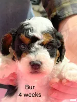 processed/9d7af26e-d61f-4525-a811-4be51479e5b6/facility/d86da728-f45f-4b5a-b77c-b3c277196d8e