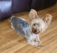 processed/9d830afb-0f99-4d60-804a-f1fab9243331/facility/0f5e5514-edbf-41a1-aae4-cc4712ff7b1c