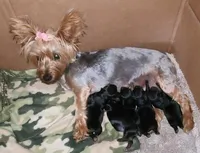 processed/9d830afb-0f99-4d60-804a-f1fab9243331/facility/3c7f0792-f51b-4a89-818a-a2b437e6d6a9