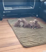 processed/9d830afb-0f99-4d60-804a-f1fab9243331/facility/829d4da2-8d02-45b2-80cc-a9d59835f2c9