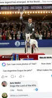 King, a  Dogo Argentino for sale in Narrowsburg, NY – 3 of 5