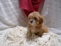 processed/9d8608f3-0c5b-4ab2-af47-8ef57b37f902/listing/17fc55f3-4601-41f5-ae62-f0dbdf7617dc/2ff75d4b-afc6-4dd7-ac02-77a1cdb2a2c8