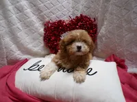 processed/9d8608f3-0c5b-4ab2-af47-8ef57b37f902/listing/17fc55f3-4601-41f5-ae62-f0dbdf7617dc/c2eccd00-804c-49de-91f7-d18ee475e5a9