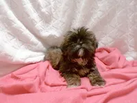 processed/9d8608f3-0c5b-4ab2-af47-8ef57b37f902/listing/22393dcd-ca7a-4ffd-8b77-713b332f48ee/3cf42b56-e8c5-4e30-ad9b-549f69a81b7f