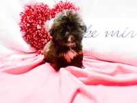 processed/9d8608f3-0c5b-4ab2-af47-8ef57b37f902/listing/22393dcd-ca7a-4ffd-8b77-713b332f48ee/bfac11b5-c6a0-4d1d-946b-174b114dc568