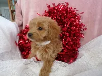 processed/9d8608f3-0c5b-4ab2-af47-8ef57b37f902/listing/2f18d0ad-f885-455e-9771-81a4799c4b97/7c558c67-8026-44f4-a211-6d230a634bc3