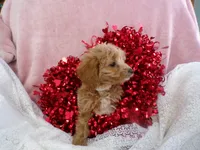 processed/9d8608f3-0c5b-4ab2-af47-8ef57b37f902/listing/2f18d0ad-f885-455e-9771-81a4799c4b97/e669f2ef-bc2d-4acc-ad52-10f172919de5